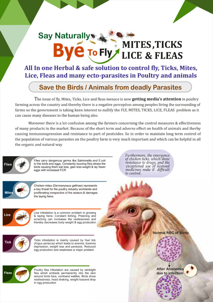 Fermantek Say Bye To Fly Poultry chicken feed supplements medicine Control Fly Naturally In Poultry Farm All In one Herbal & safe solution to control ly, Ticks, Mites, Lice, Fleas and many ecto-parasites in Poultry and animals