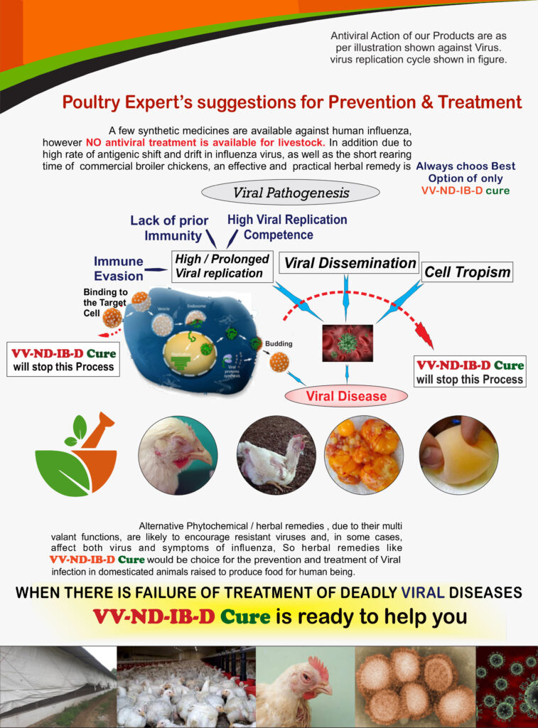 VV-ND-IB-D-CURE - A True Treatment | Prevention Program For Deadly VIRAL Complications in Poultry