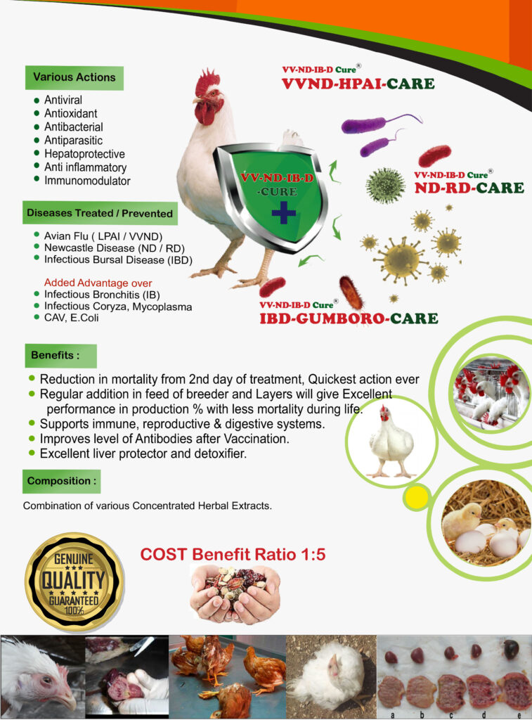 VV-ND-IB-D-CURE - A True Treatment | Prevention Program For Deadly VIRAL Complications in Poultry