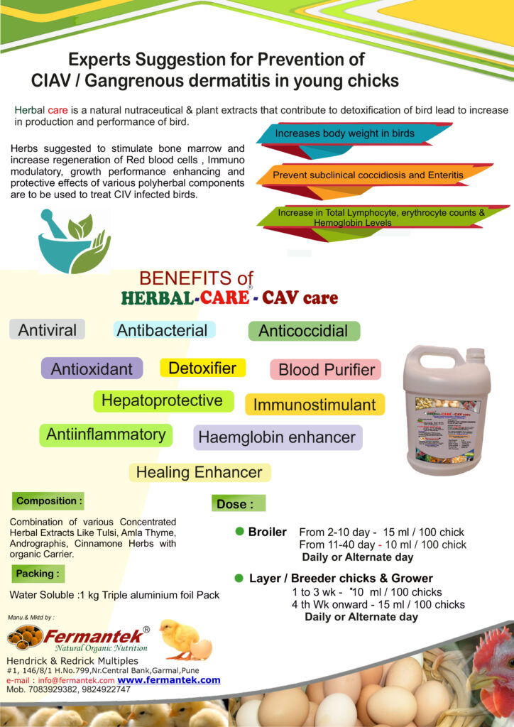 Herbal Care CAV Care - Poultry Feed Supplement