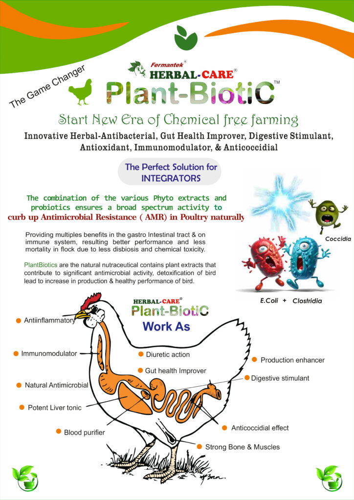 Fermantek Herbal Care Plant Biotic Poultry chicken feed supplements medicine Herbal-Antibacterial, Gut Health Improver, Digestive Stimulant, Antioxidant, Immunomodulator, & Anticoccidial 