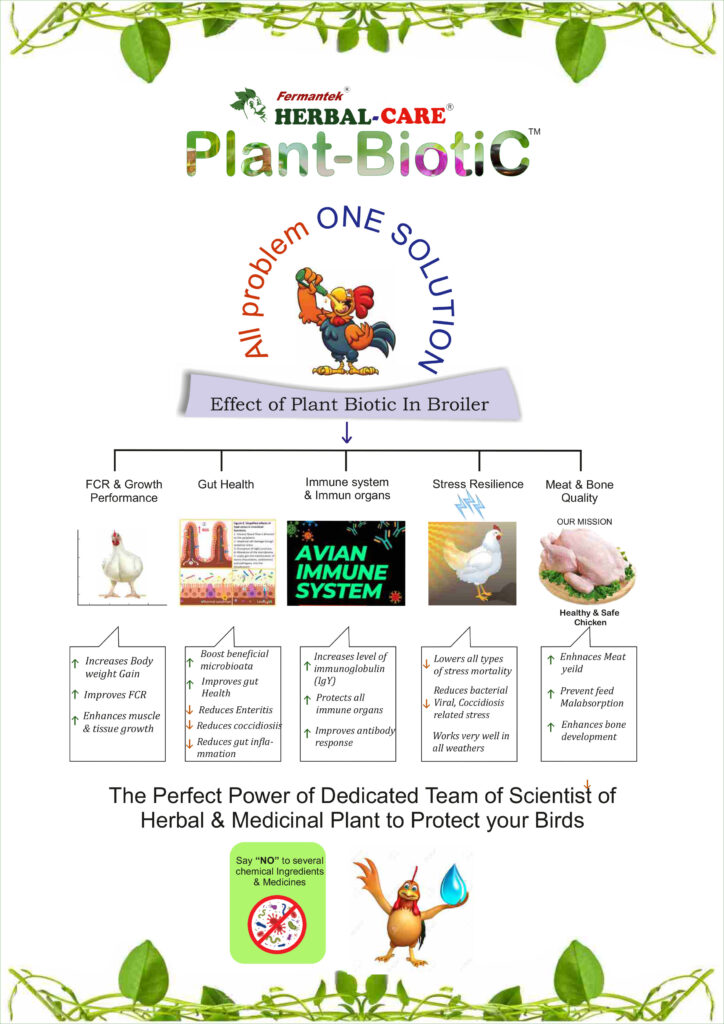 Fermantek Herbal Care Plant Biotic Poultry chicken feed supplements medicine Herbal-Antibacterial, Gut Health Improver, Digestive Stimulant, Antioxidant, Immunomodulator, & Anticoccidial 